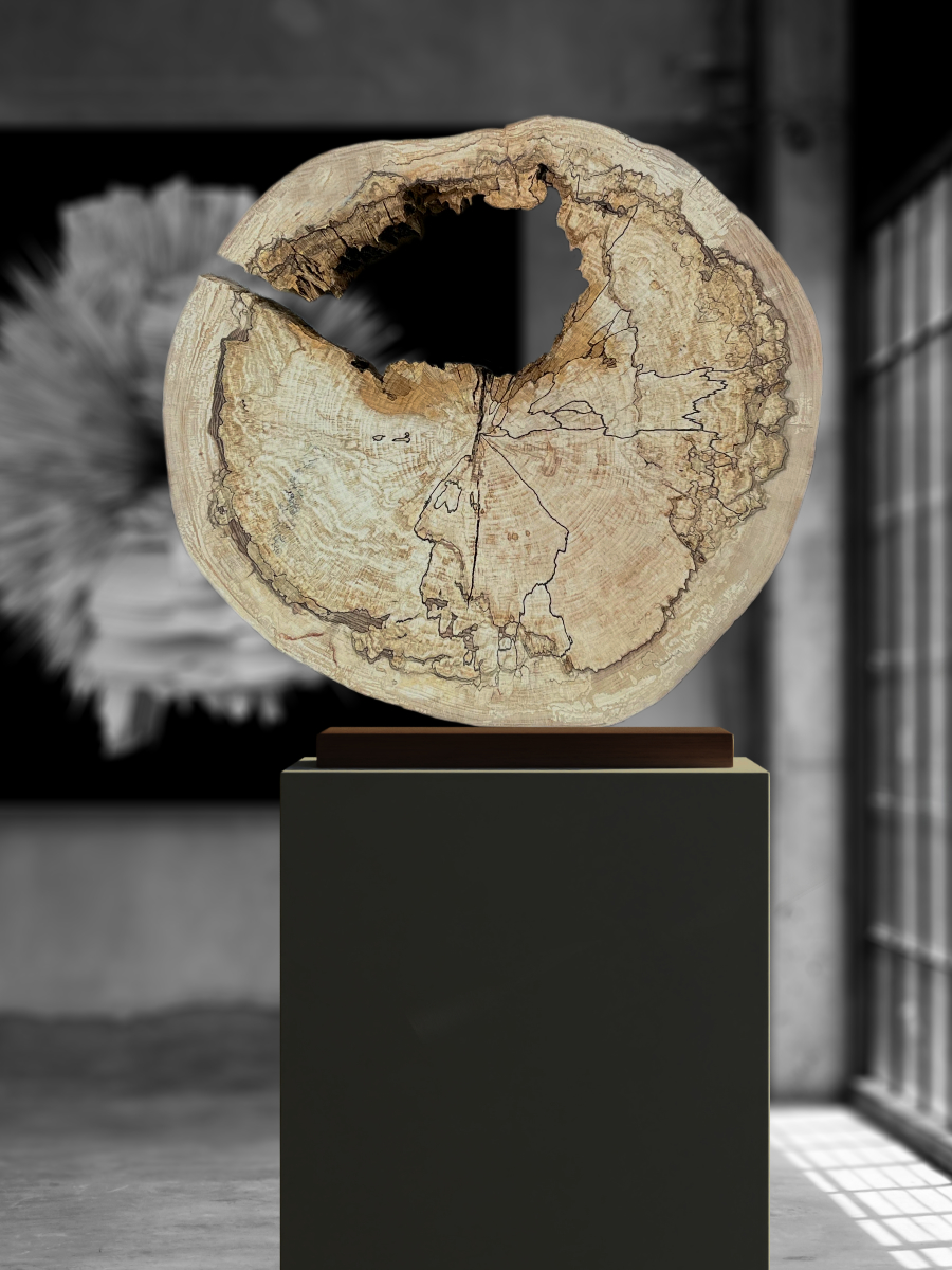 object eye